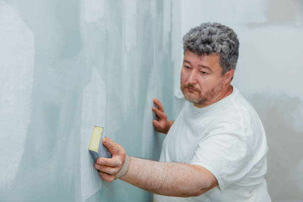 Best Emergency Mold Remediation  in Osawatomie, KS